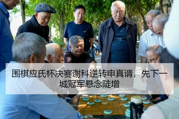 围棋应氏杯决赛谢科逆转申真谞，先下一城冠军悬念陡增